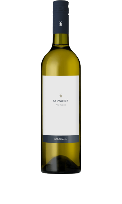 Sylvaner, Bergmann vino