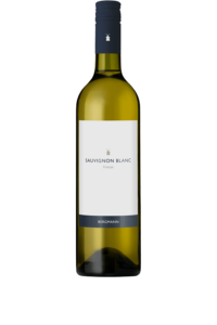 Sauvignon Blanc 2019, Bergmann